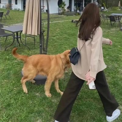 哥布林杀手
